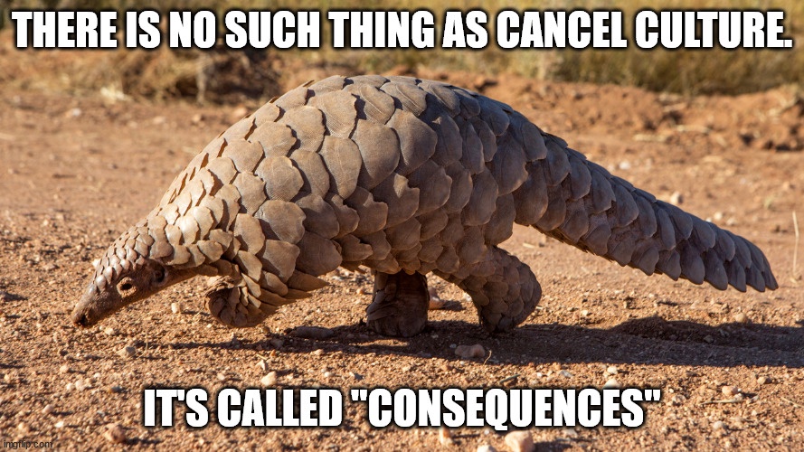Launching a New Meme Format: Popular Opinion Pangolin