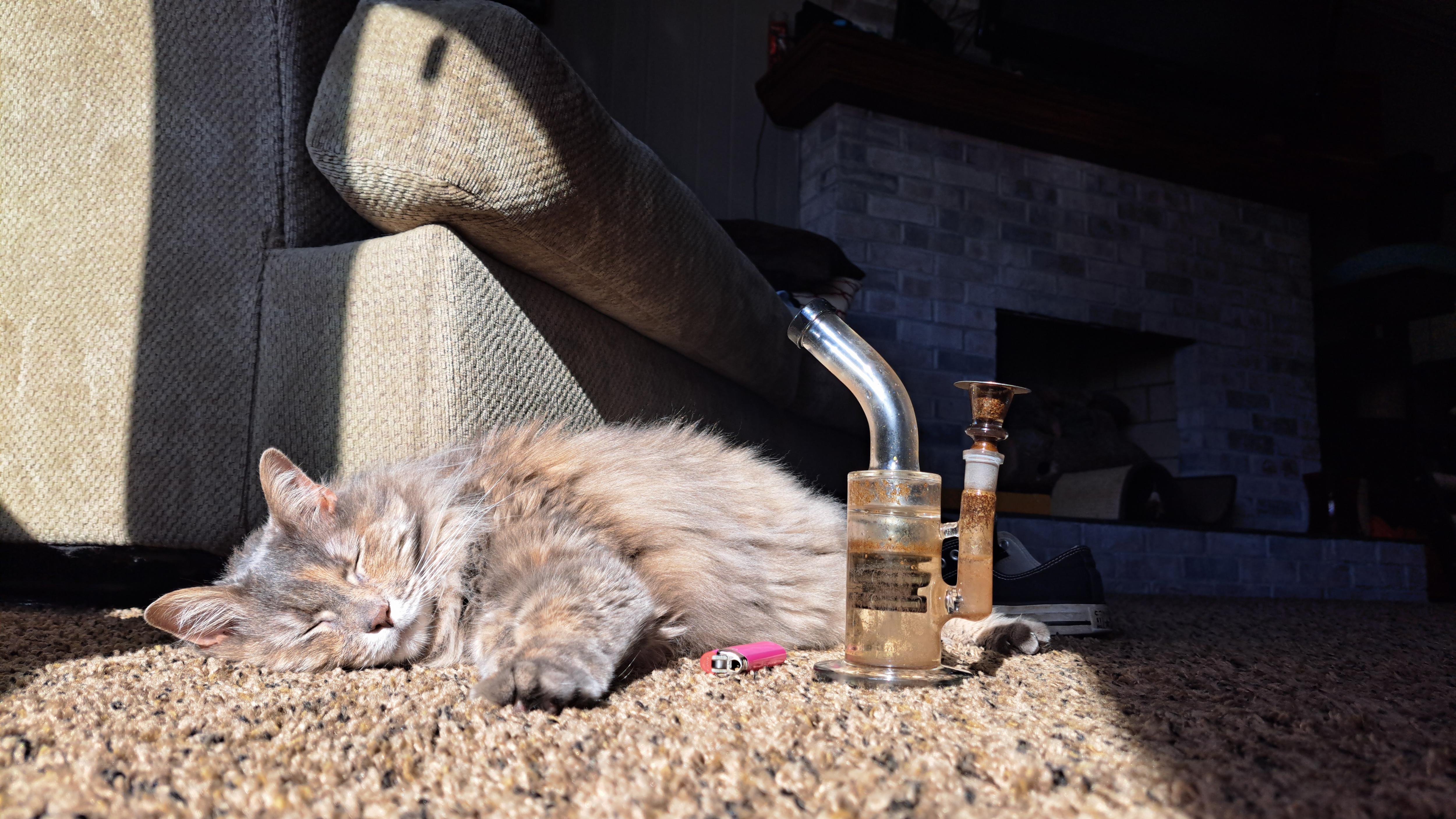 Embracing the Chill of a Lazy Sunday Afternoon