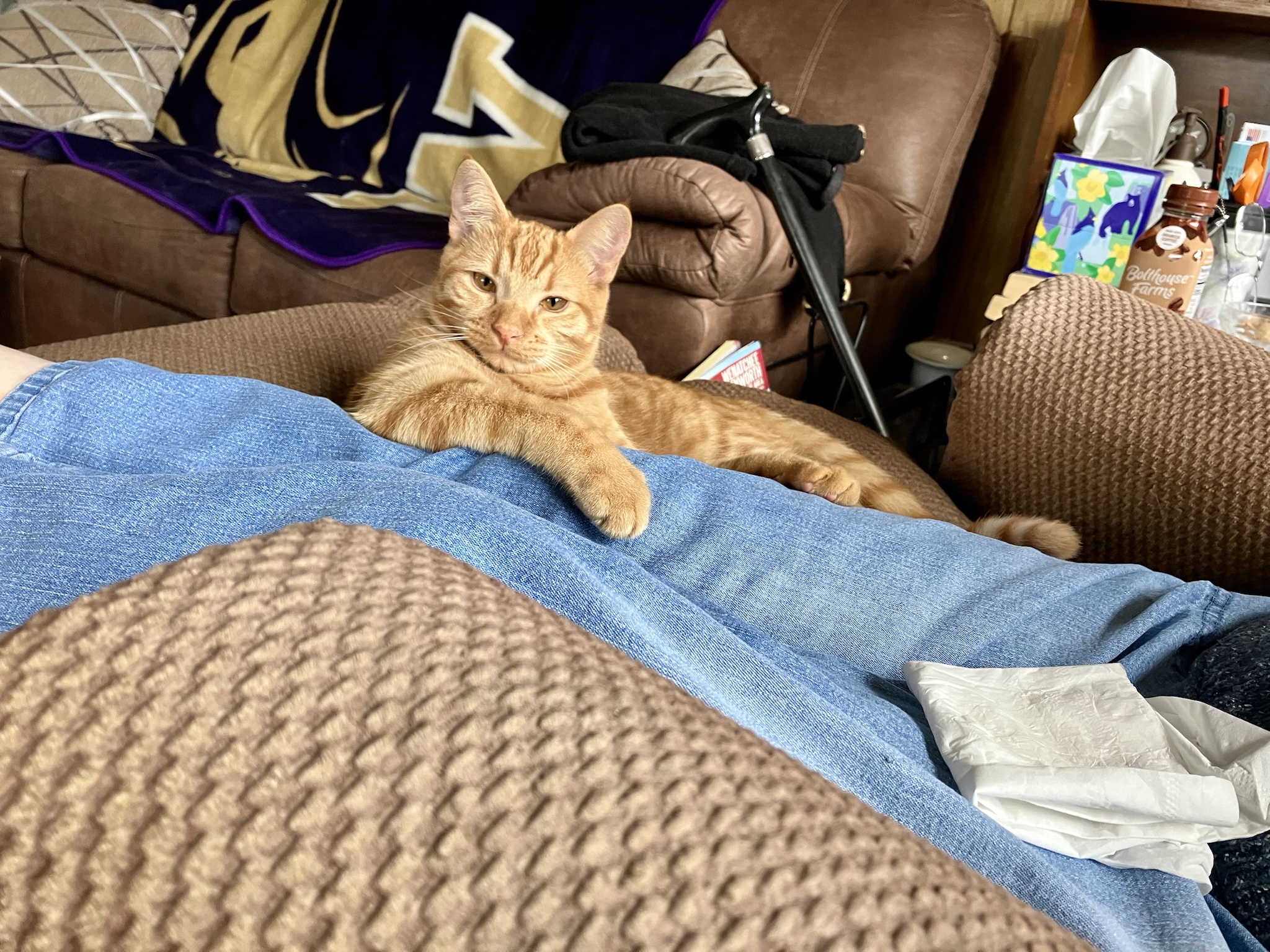 When You Don’t Always Pose Like a Meme, But When You Do...