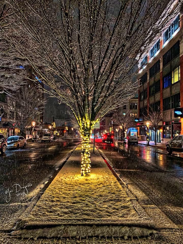 A Magical Winter Wonderland of Snow and Lights