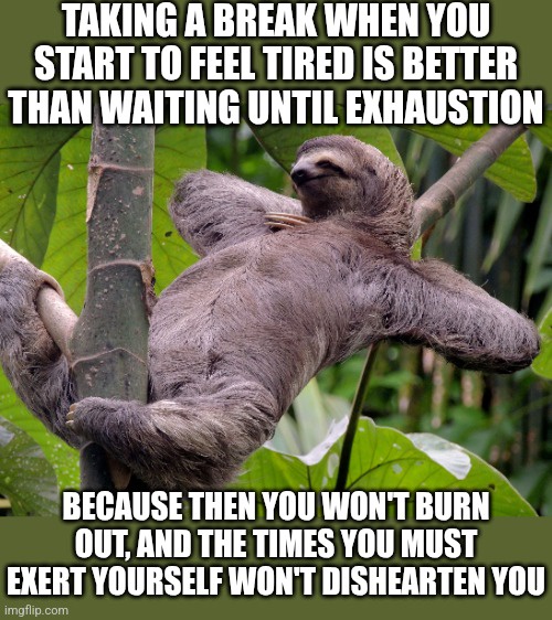 Deep Thoughts from a Sloth