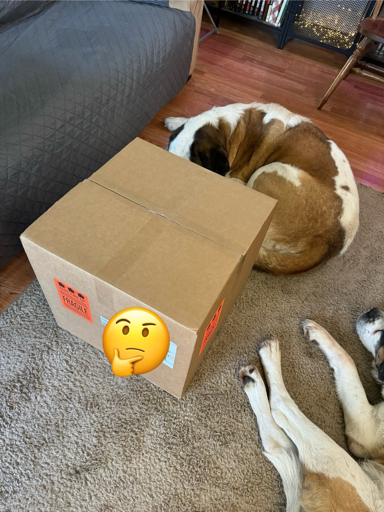 Unboxing the Delightful Reese's Gift Package!