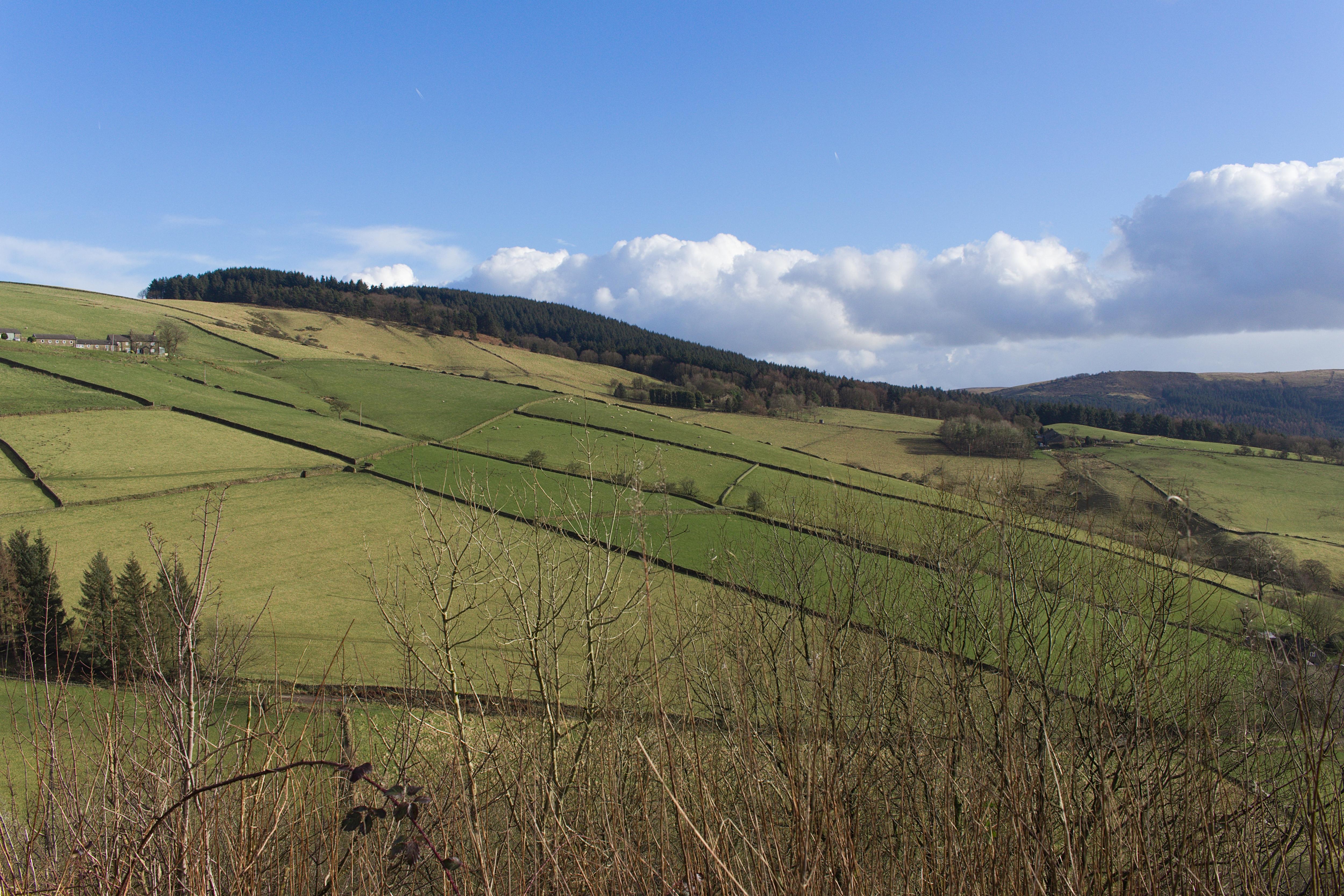 Scenic Views Near Macclesfield