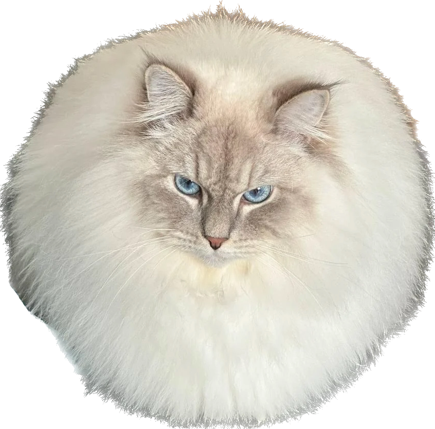 The Perfect Circle
