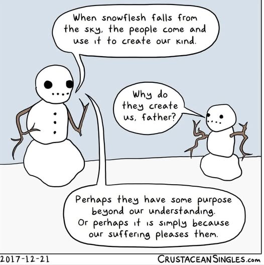 Embrace the Beauty of Snow