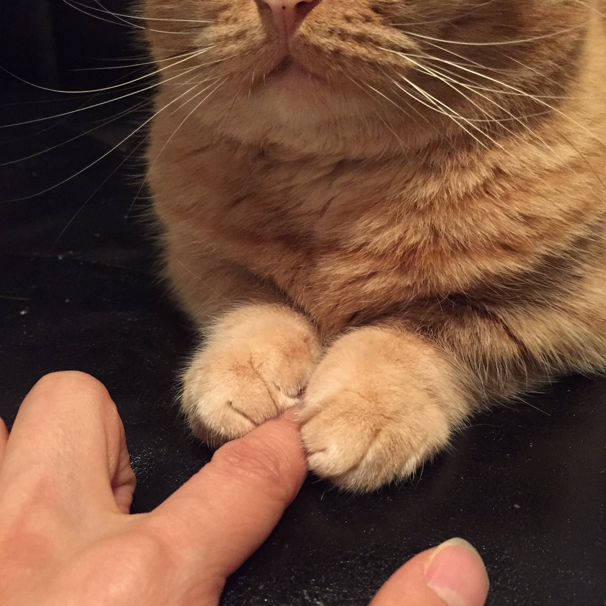 The Sweet Simplicity of Holding Hands