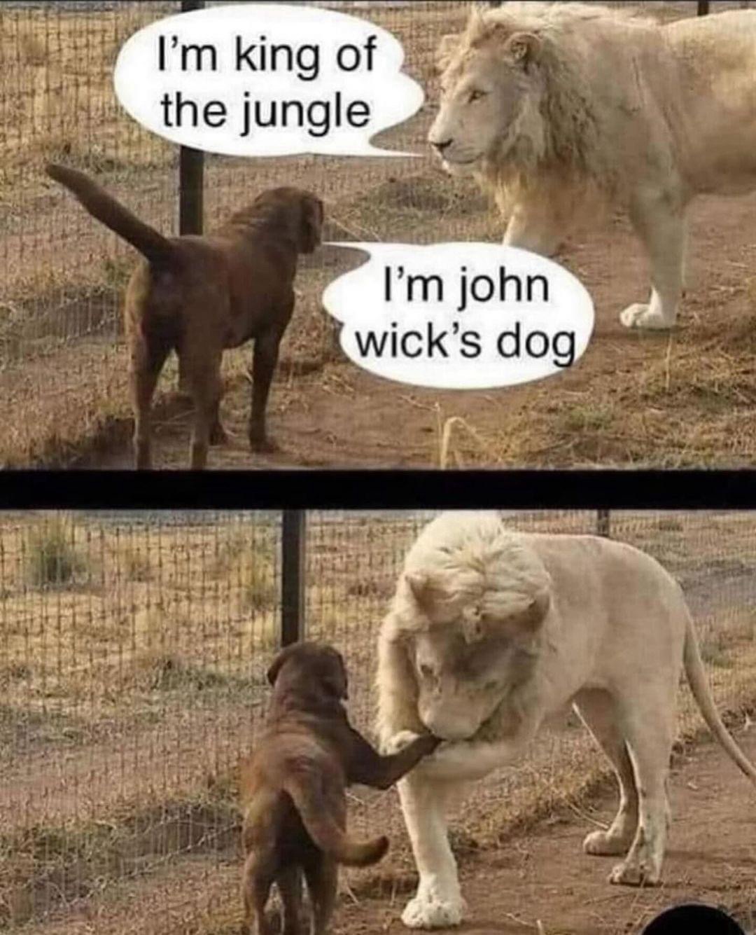 The Unrivaled King of the Jungle