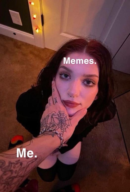 A Compilation of More Stolen Memes