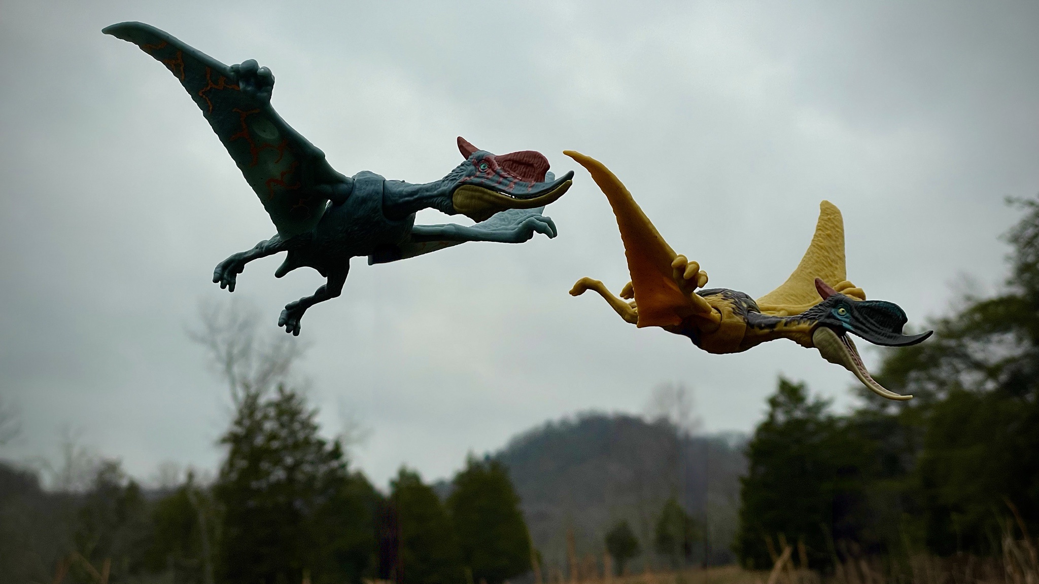 Soaring High with the Dsungaripterus