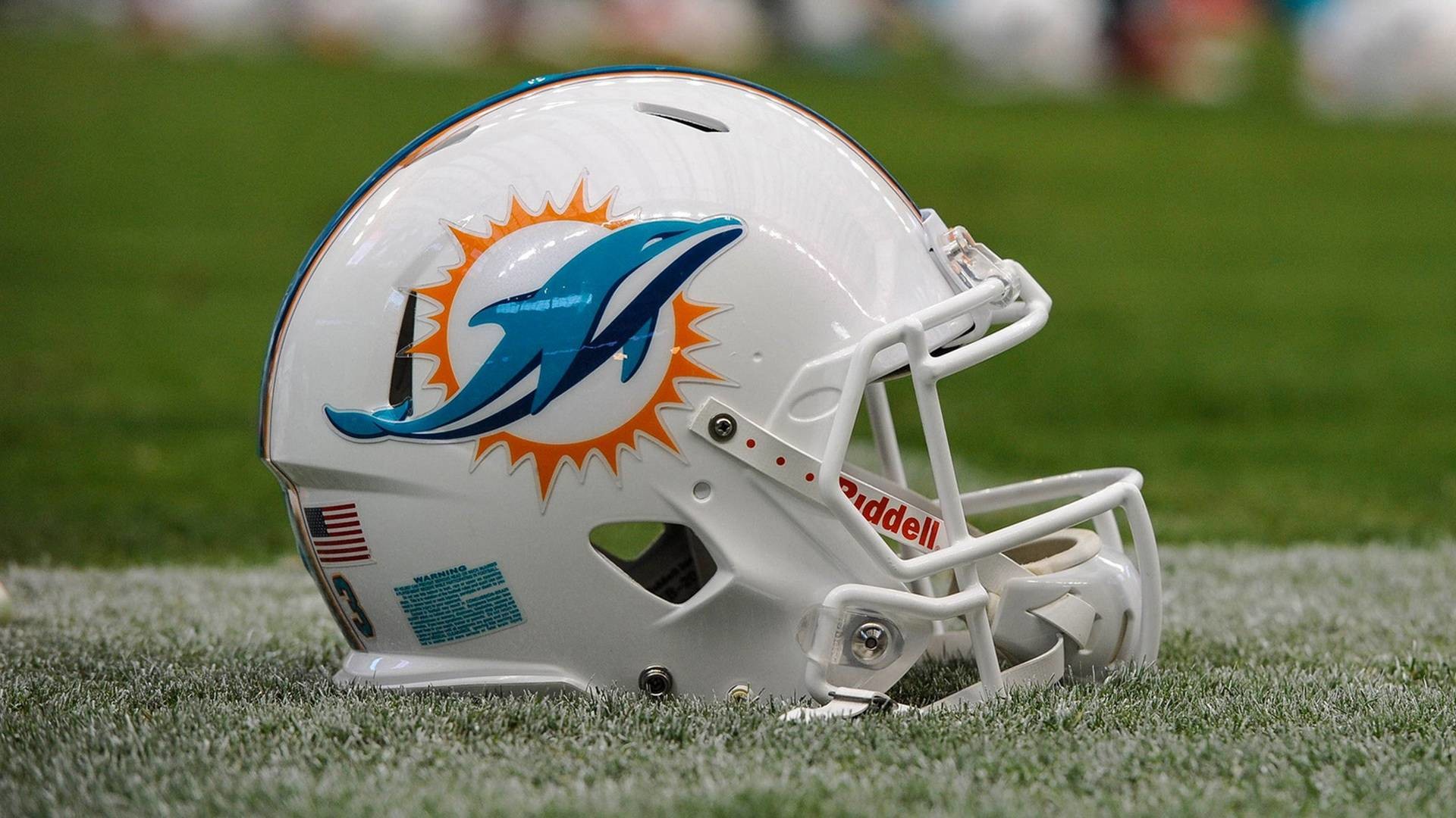 Who’s Your Ultimate Favorite Sports Team?
