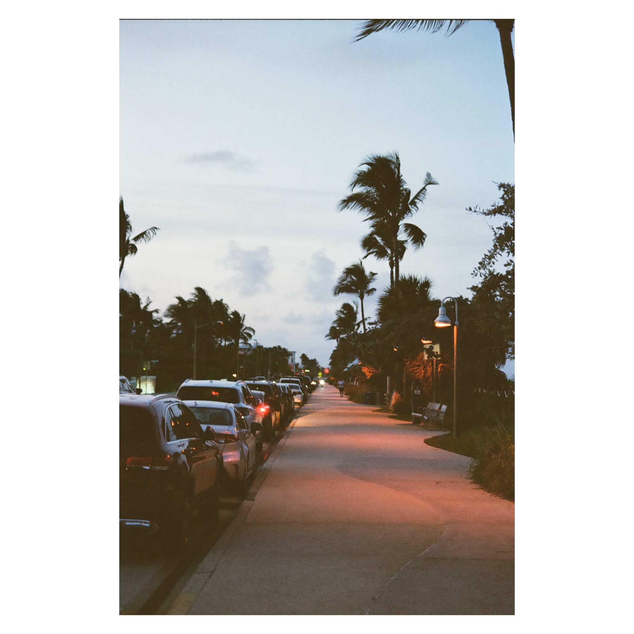 The Pathway to Adventure Awaits