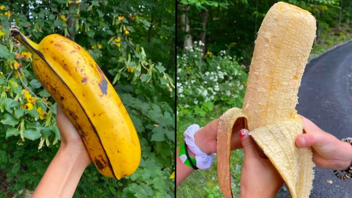 Using a banana as a reference point for size...