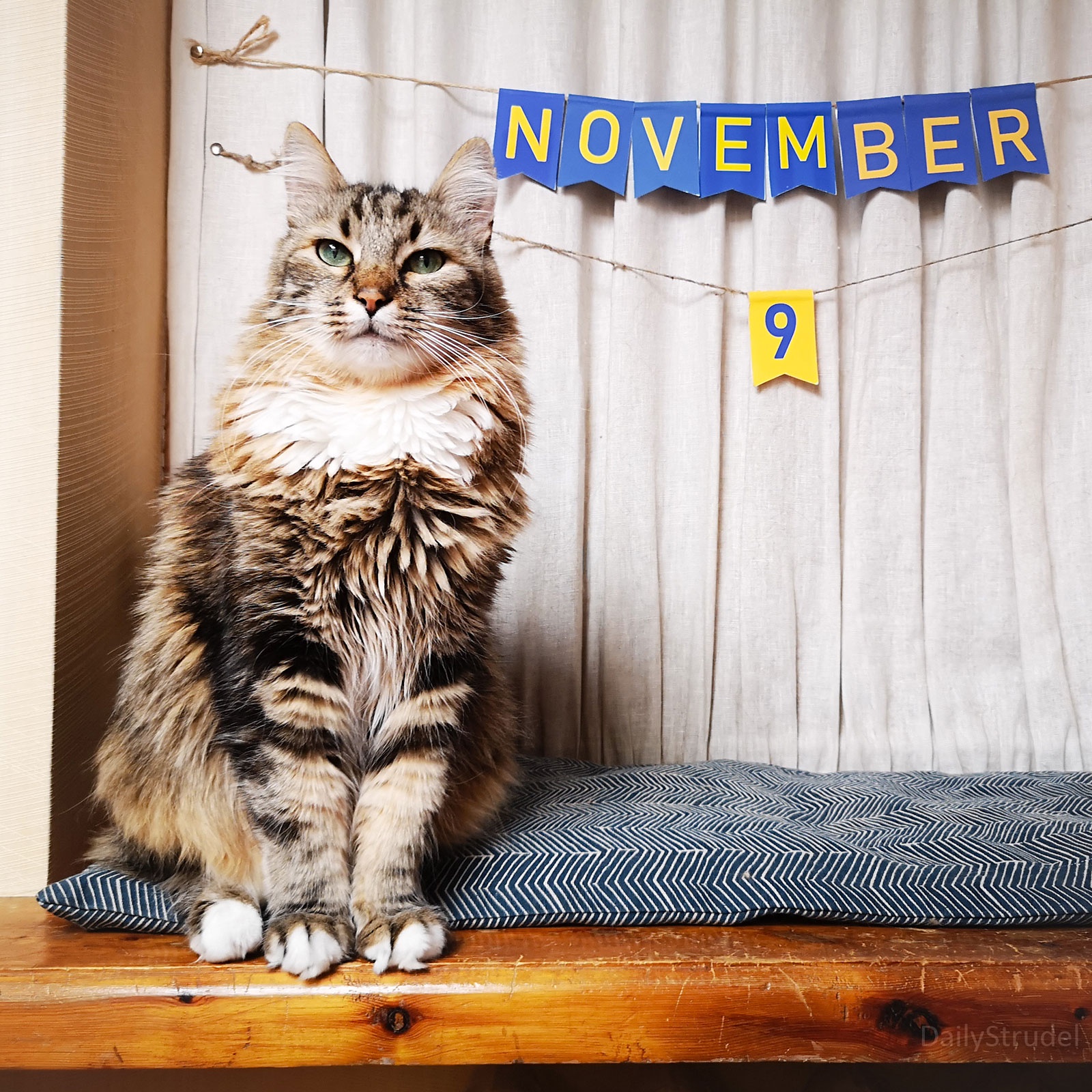 Mark Your Calendars: It's November 9!