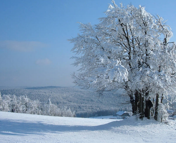 Breathtaking Landscape: Nature's Masterpiece