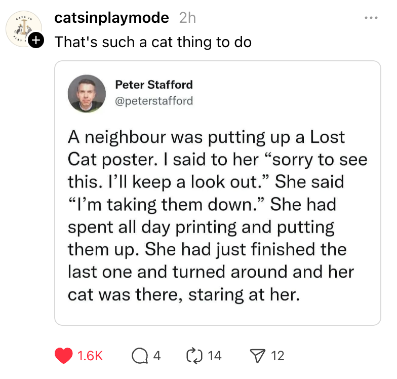 Finally, some good news to brighten your day!