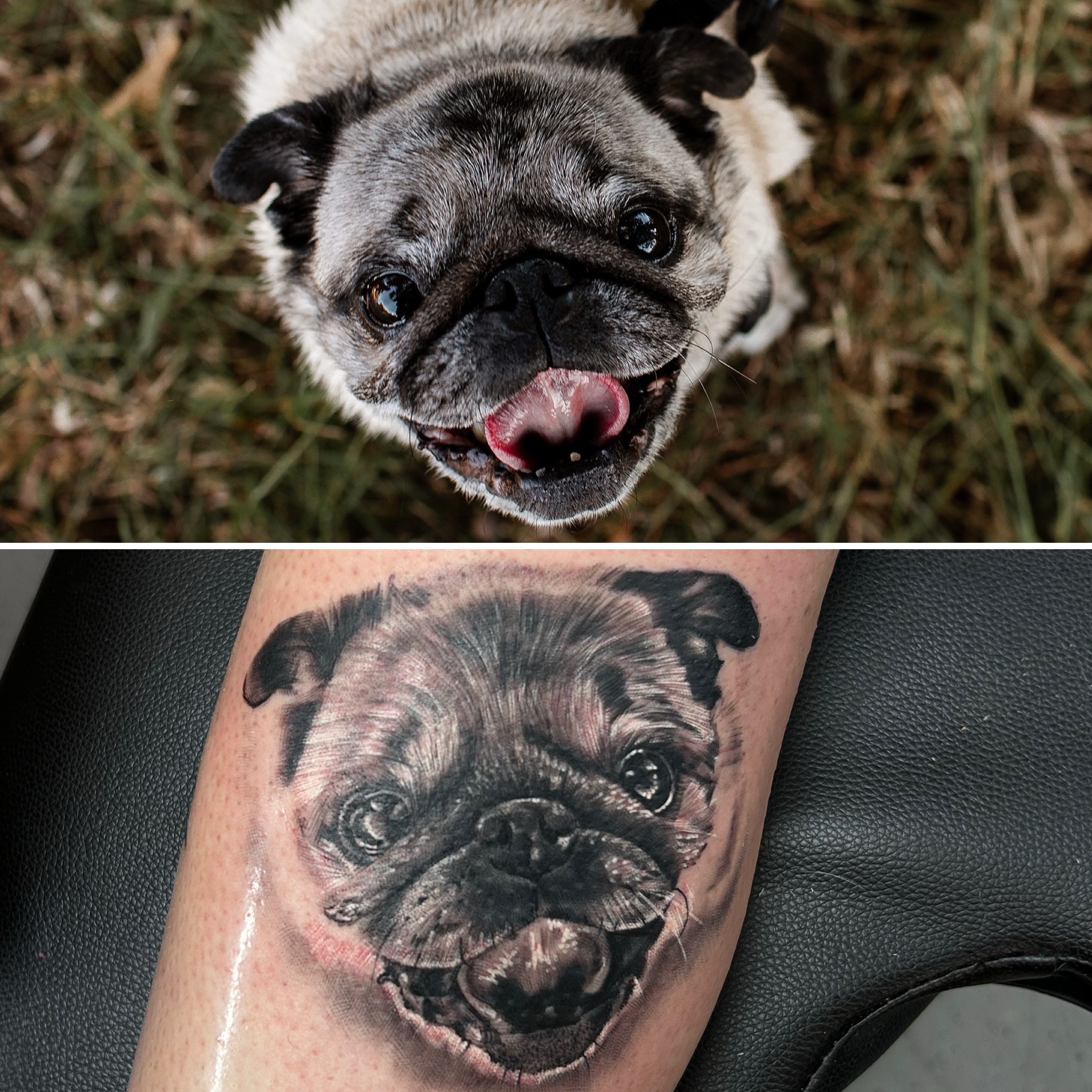 A heartfelt memorial tattoo dedicated to my beloved LolaBean.