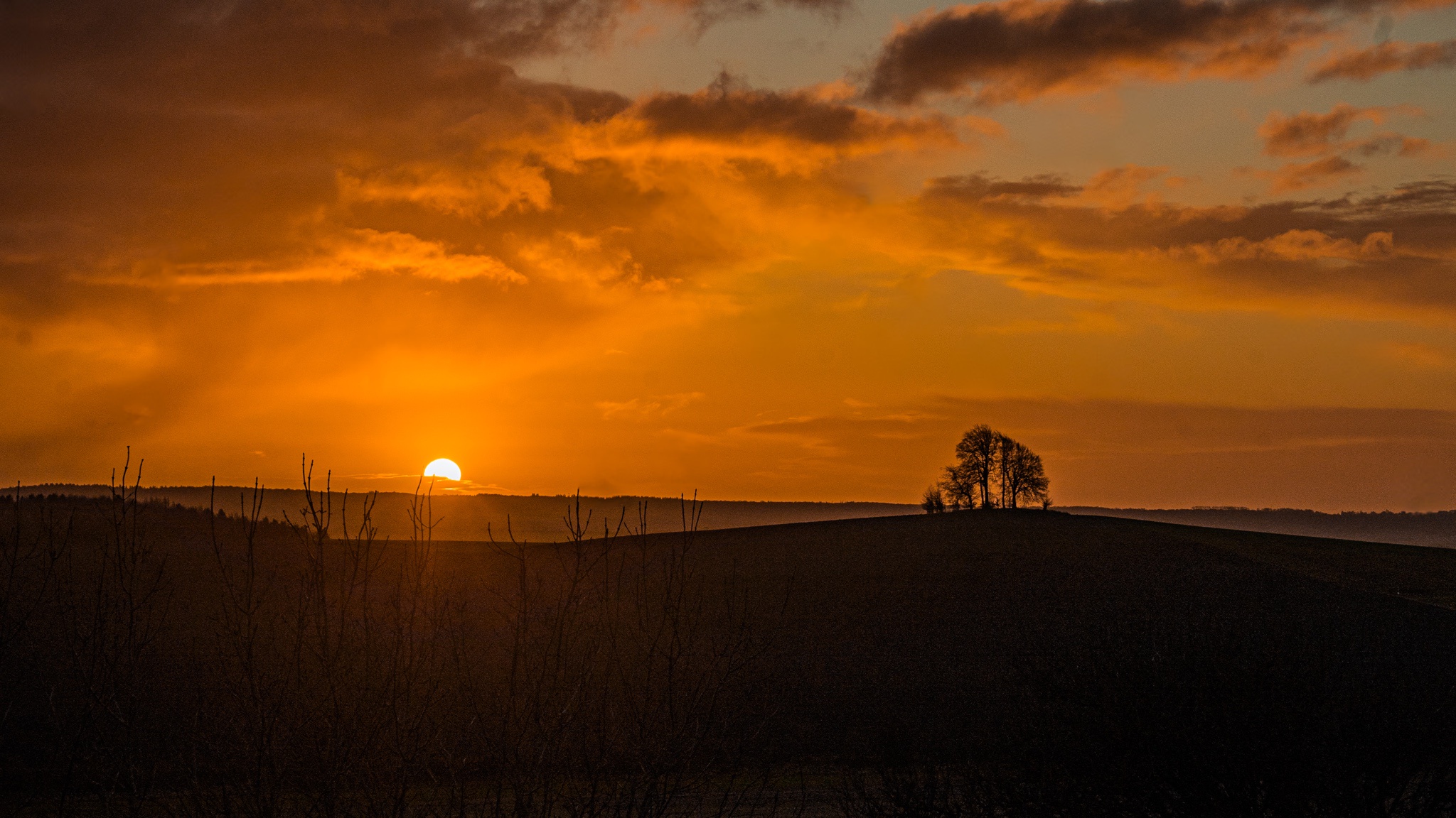 The sun is making its grand entrance!