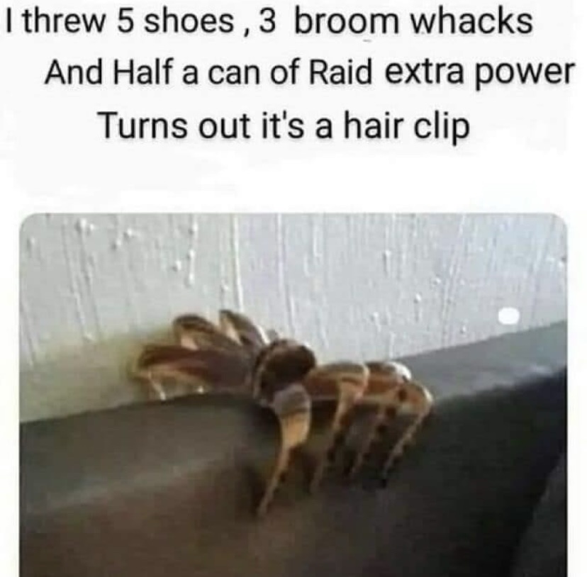 A Collection of Memes You Didn't Know You Needed