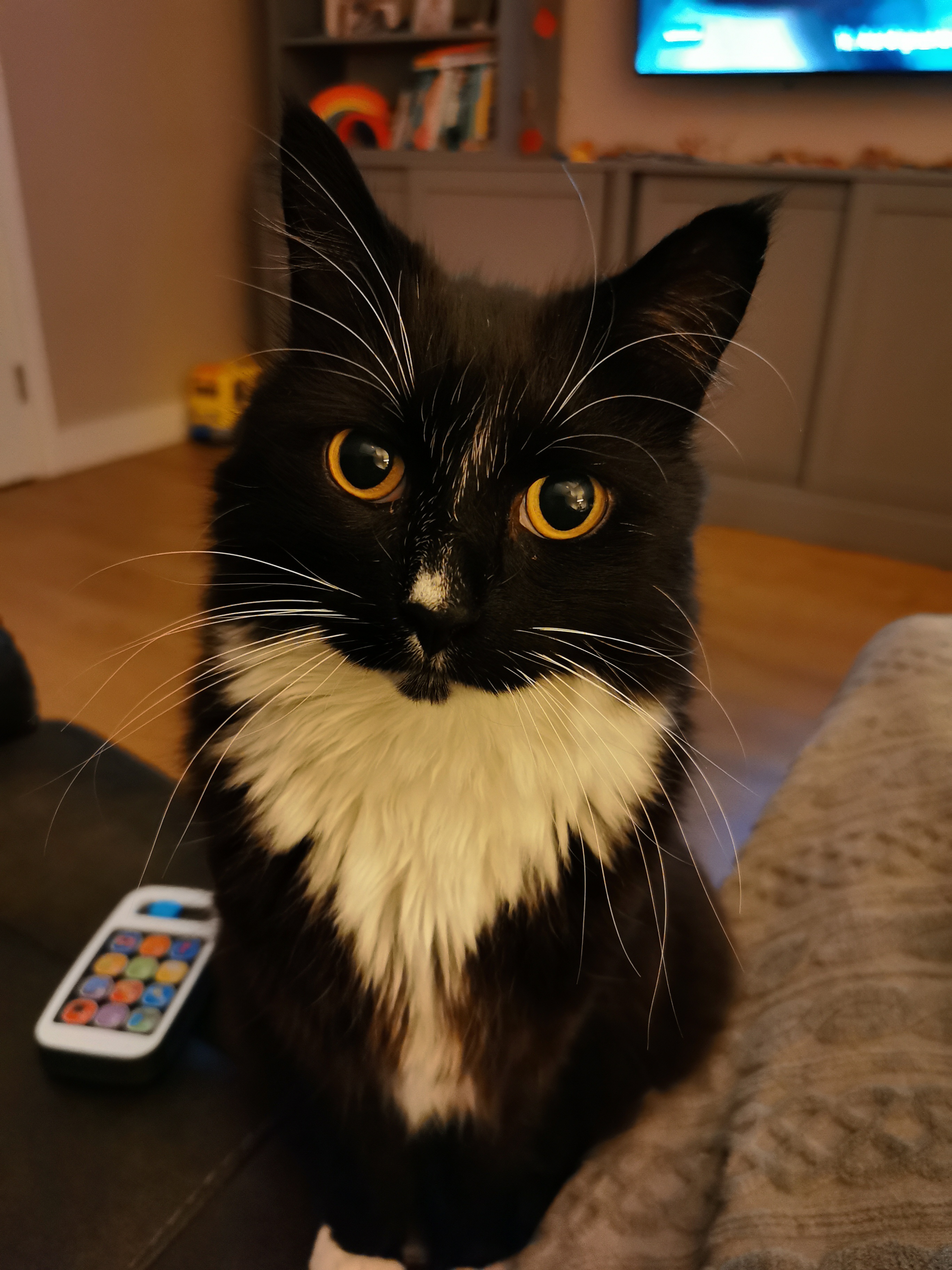 Luimey in All Its Majestic Glory