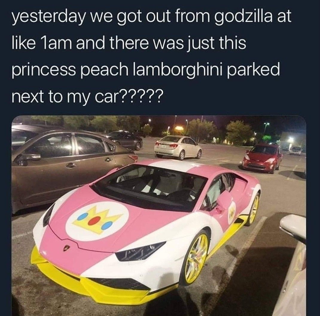 The Life of a Rich Gamer in Their Natural Habitat