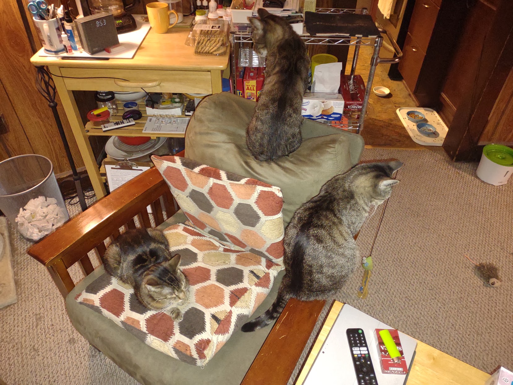 The epic showdown for the comfy chair has reached a standstill!