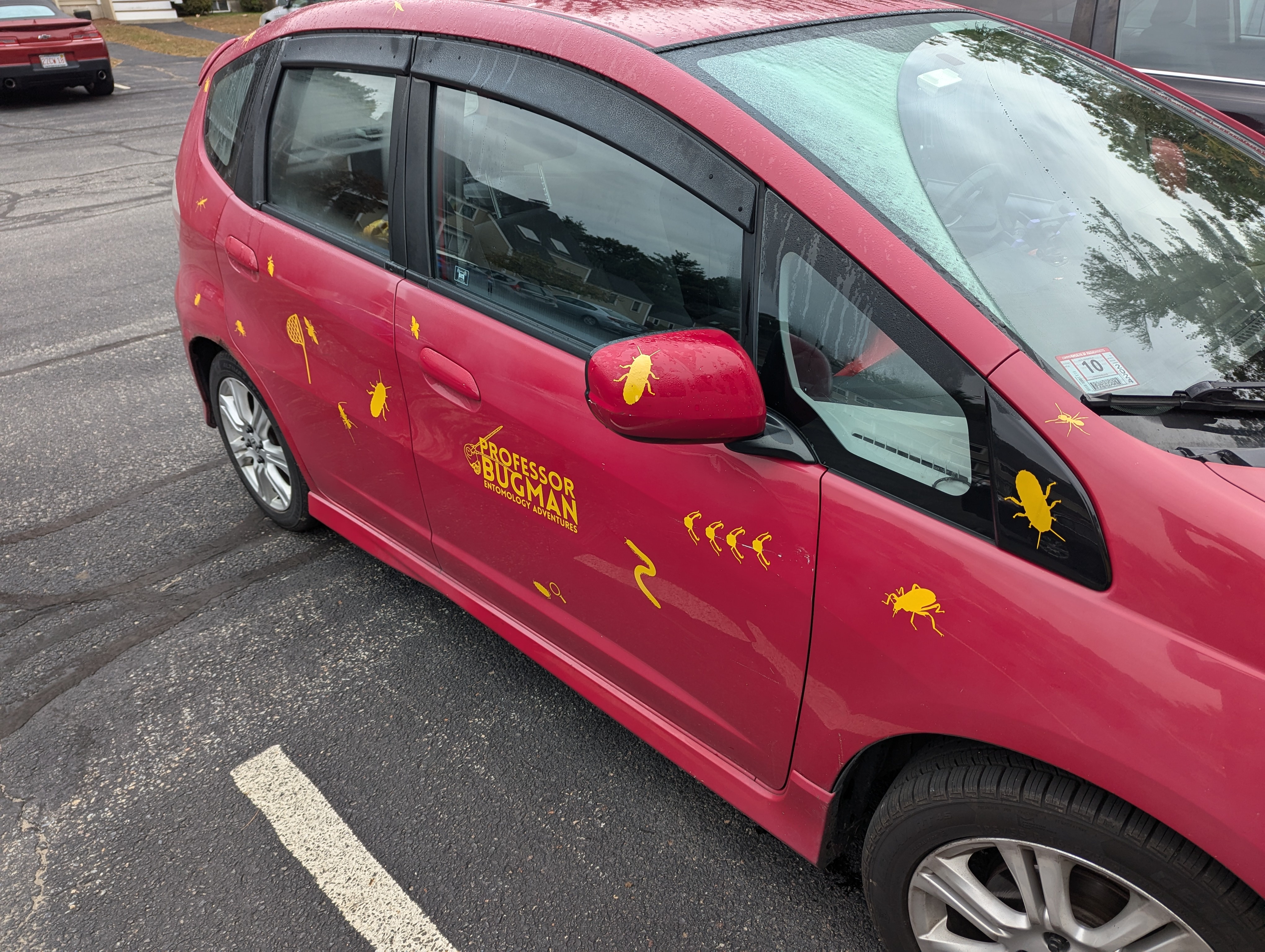 Cruising in the Bugmobile!