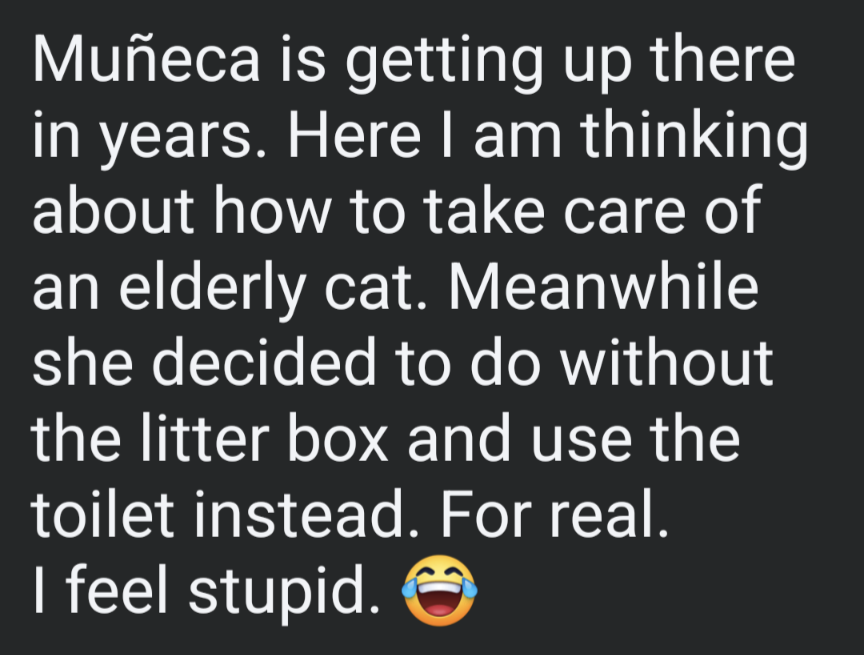 Celebrating a Sweet 16: She's a Beloved Senior Cat