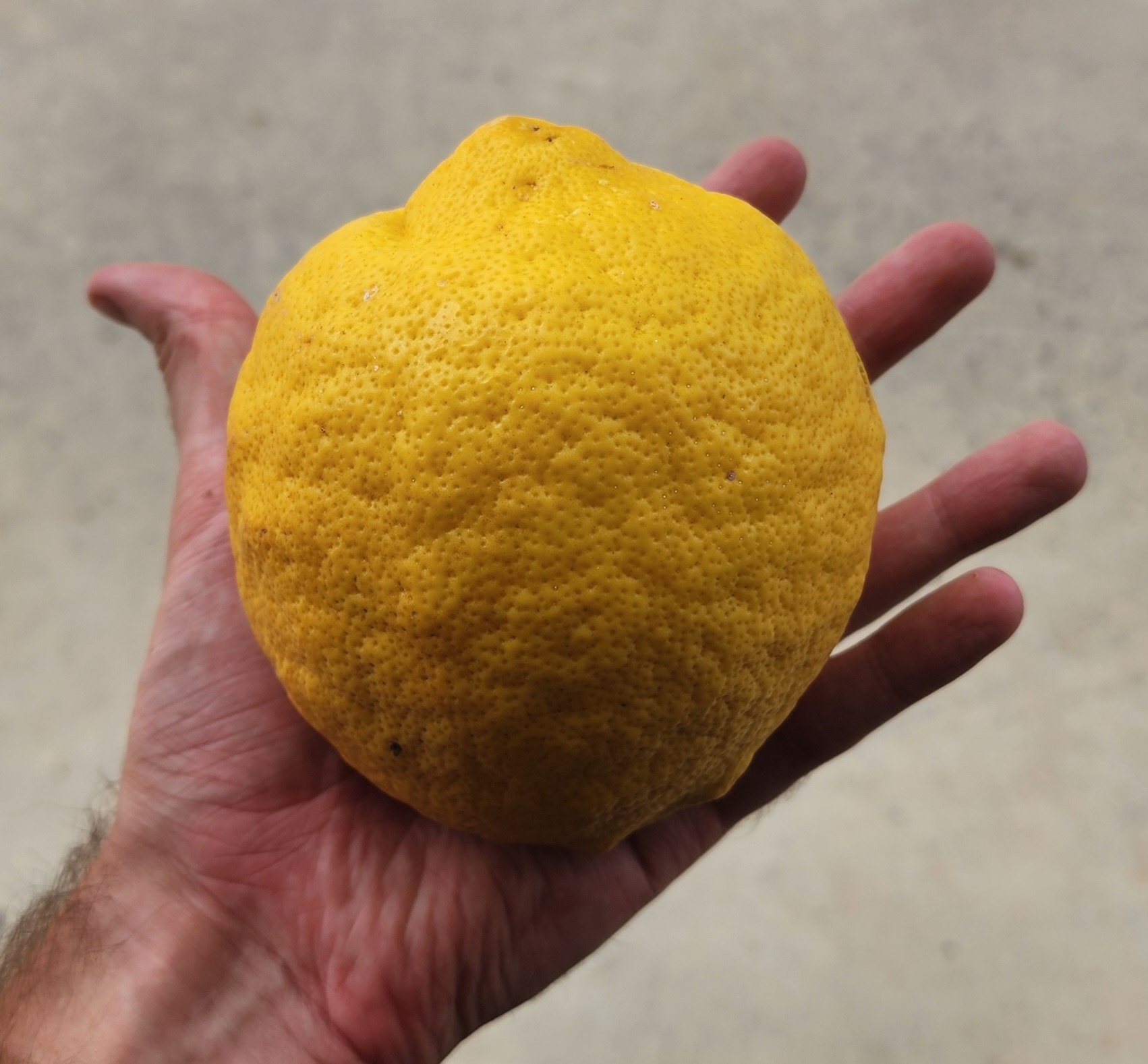 When Life Gives You Lemons: Turning Challenges into Opportunities