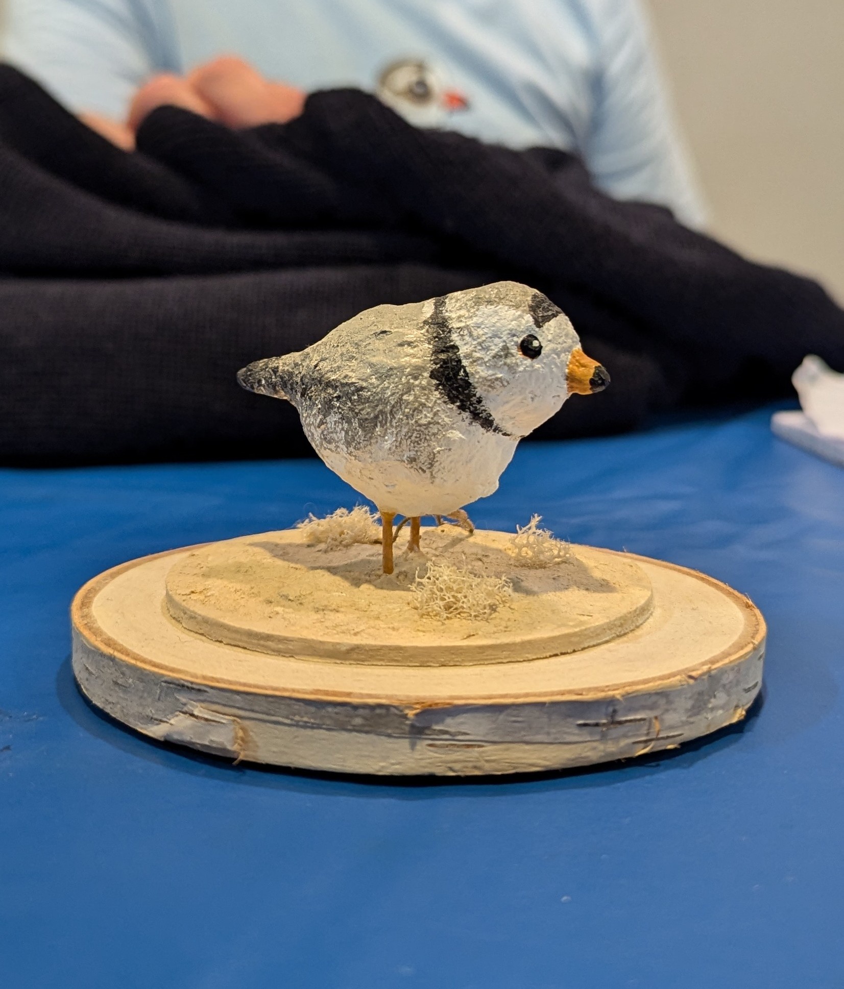 Chicago's New Official Unofficial Bird Has Been Elected!