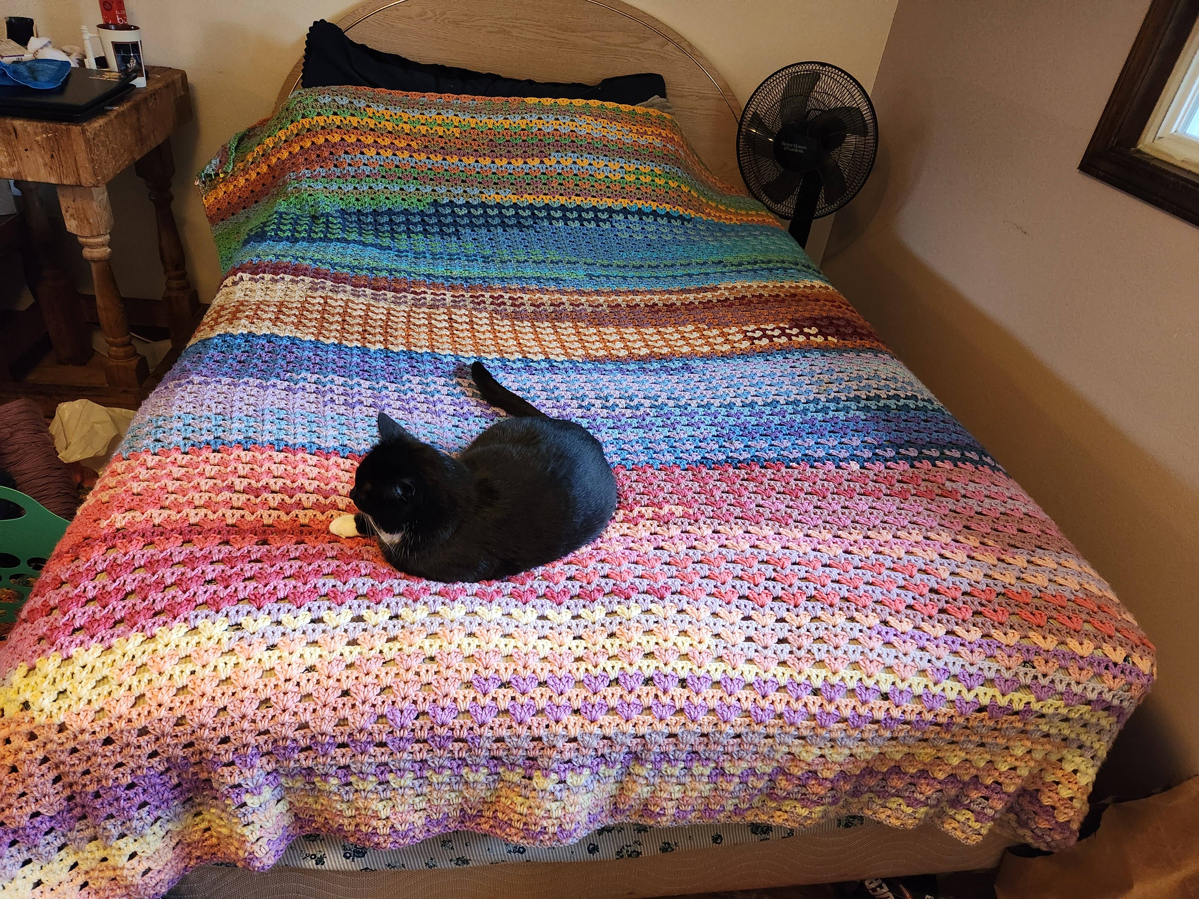 My Latest Creation: A Cozy Crochet Blanket Completed Last Week