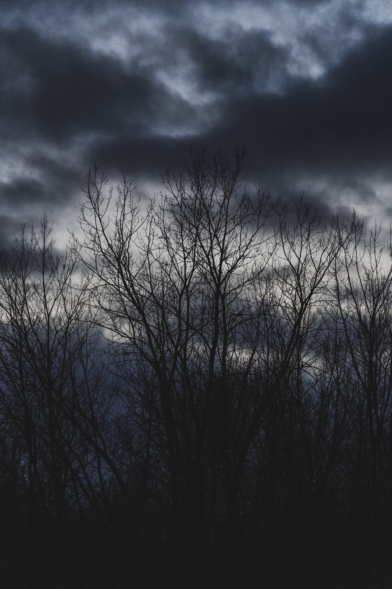 The Gloomy January Sky Over Michigan