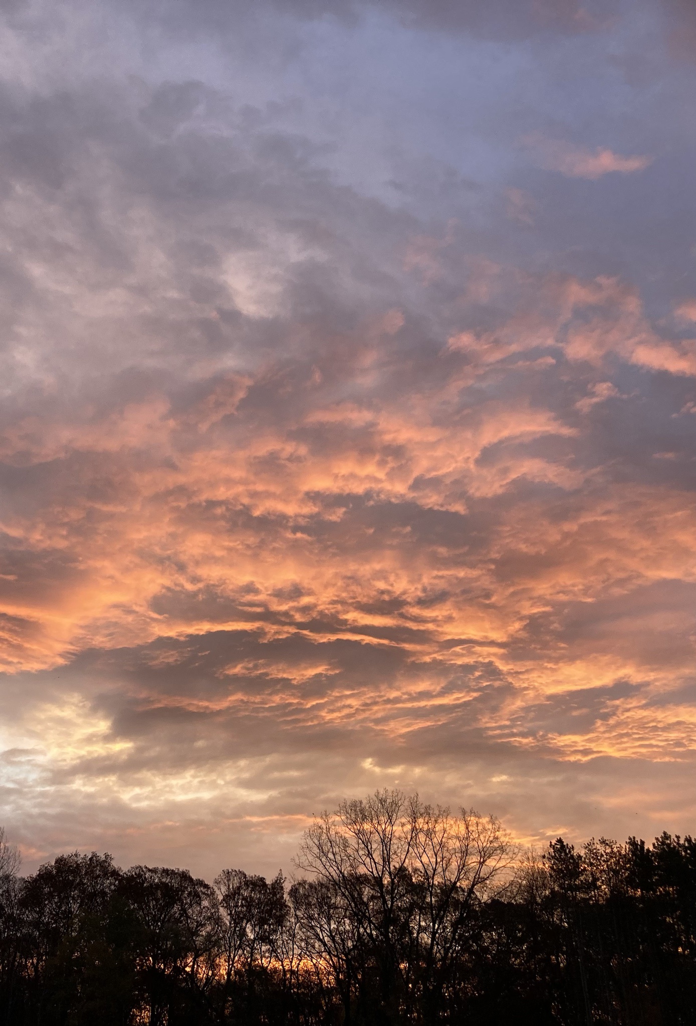 A Beautiful Blend of Sky, Blue, and Pink