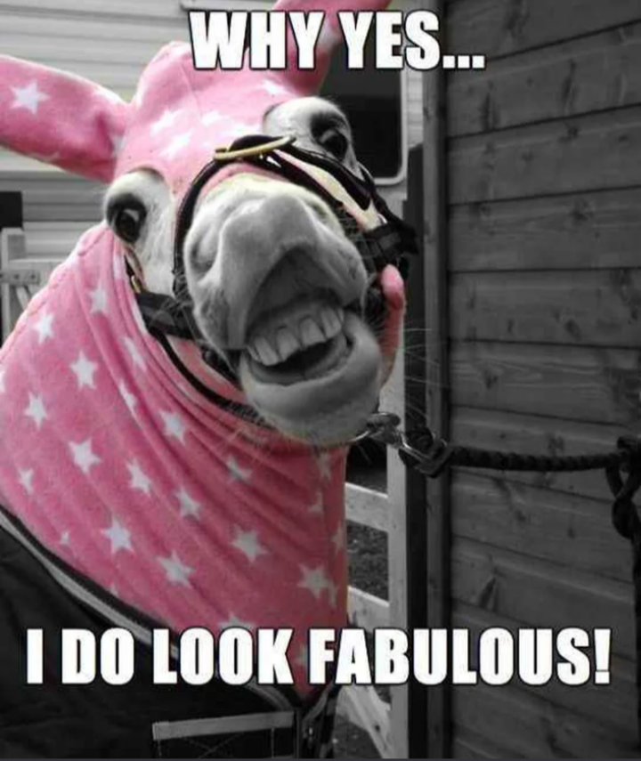 You look absolutely MAHVELOUS!