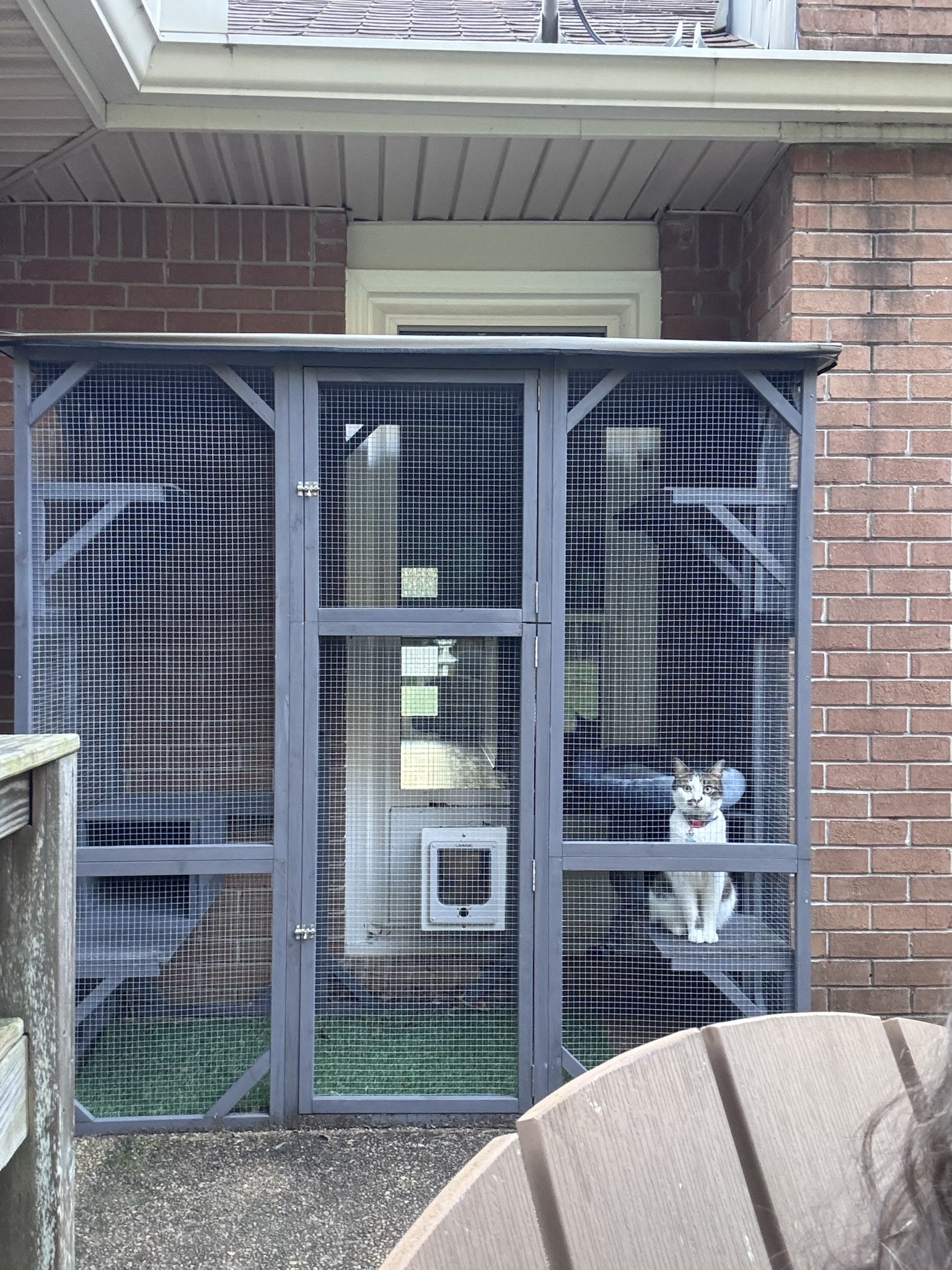 NotFred: Life Behind Bars in the Prison Yard