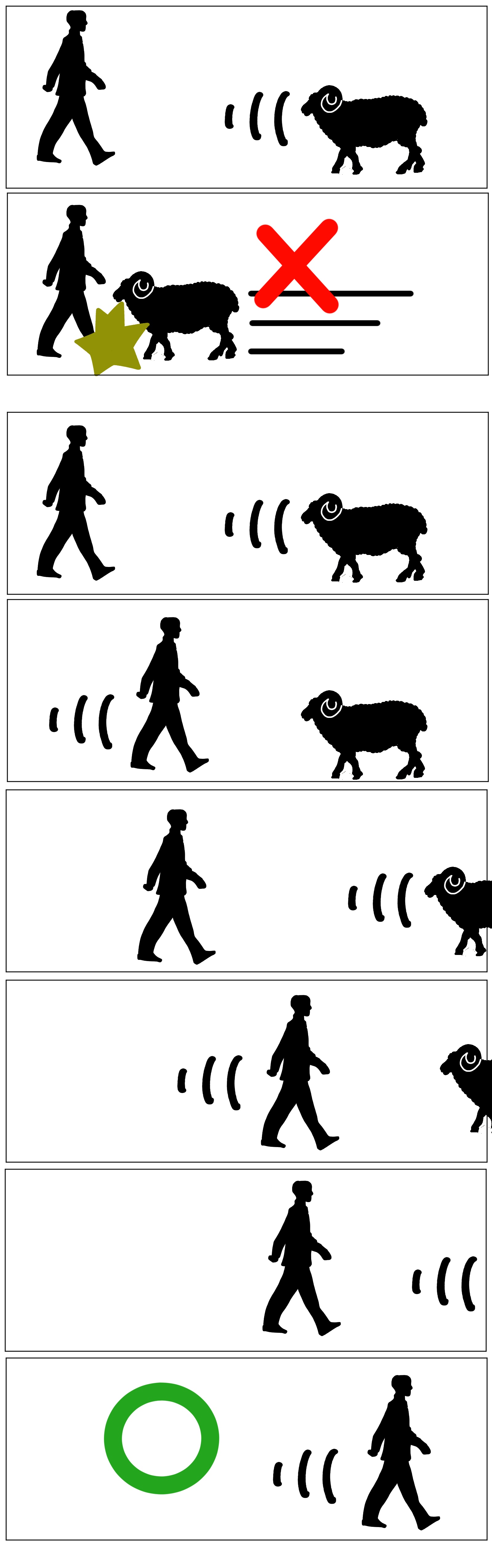 When Sheep Go Rogue: A Surprise Attack!