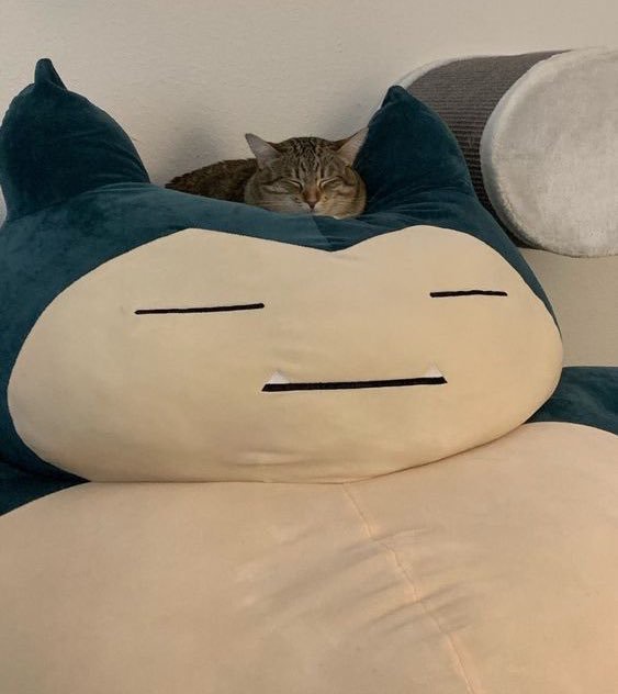 Looks like he’s here to stay for a bit longer.