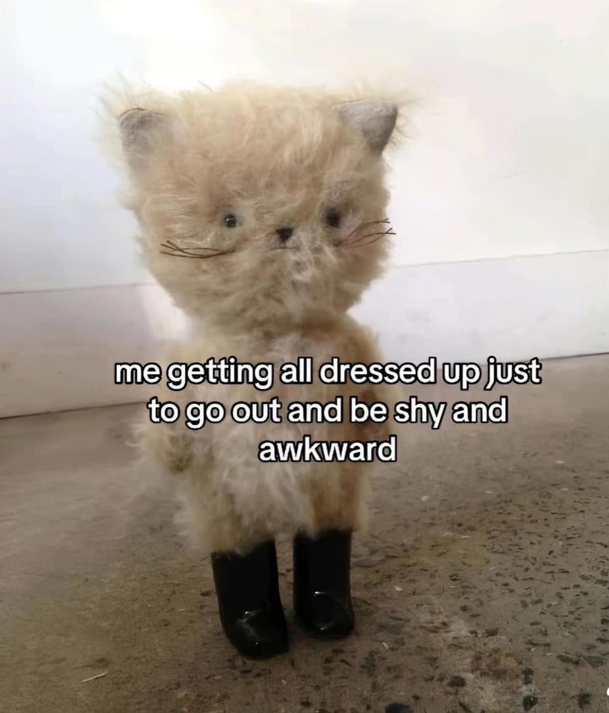 All I want is to go home.