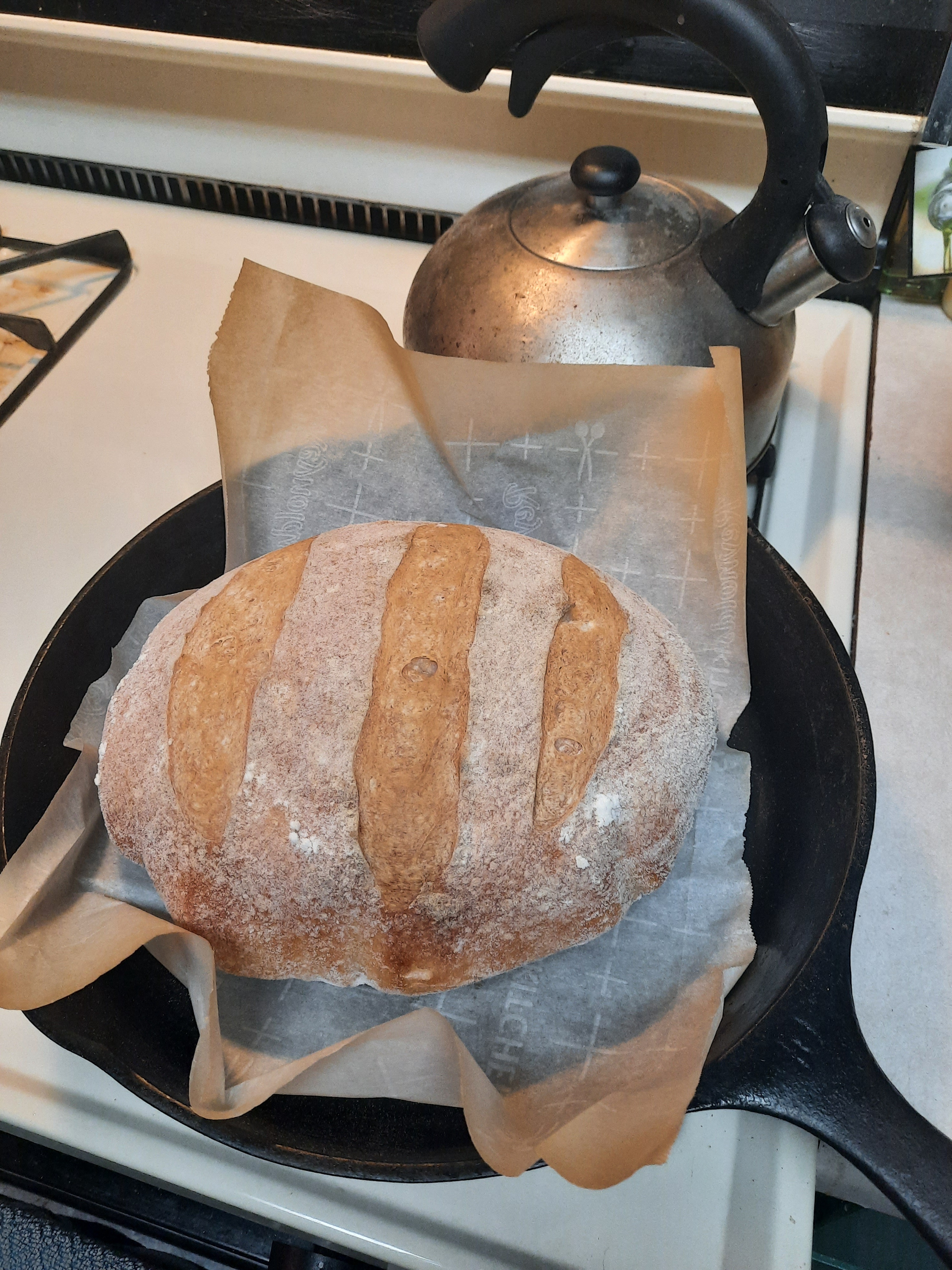 Finding Calm in the Art of Sourdough Making