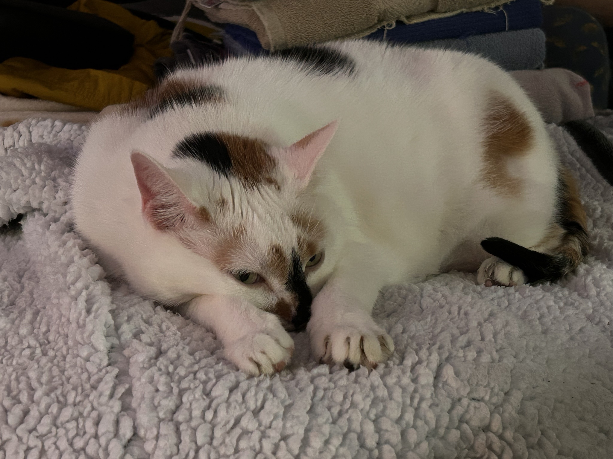 Adorable Little Feets!