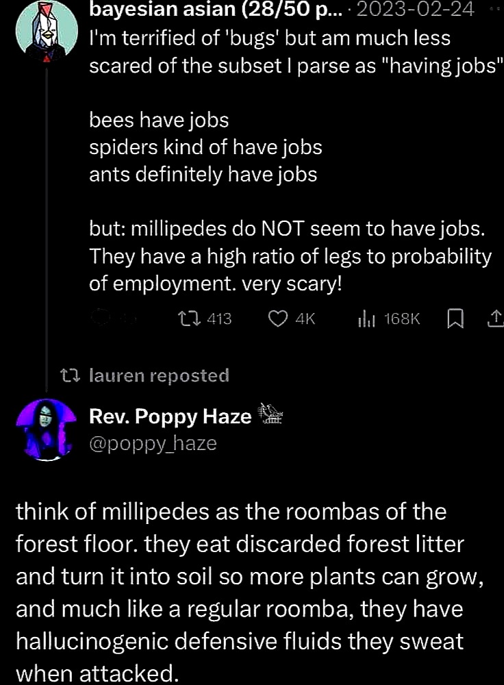 Adorable Ants: A Cat Tax Collection