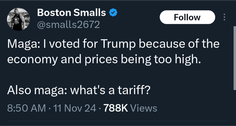 The Economic Fix: Can Tariffs Really Save Us?