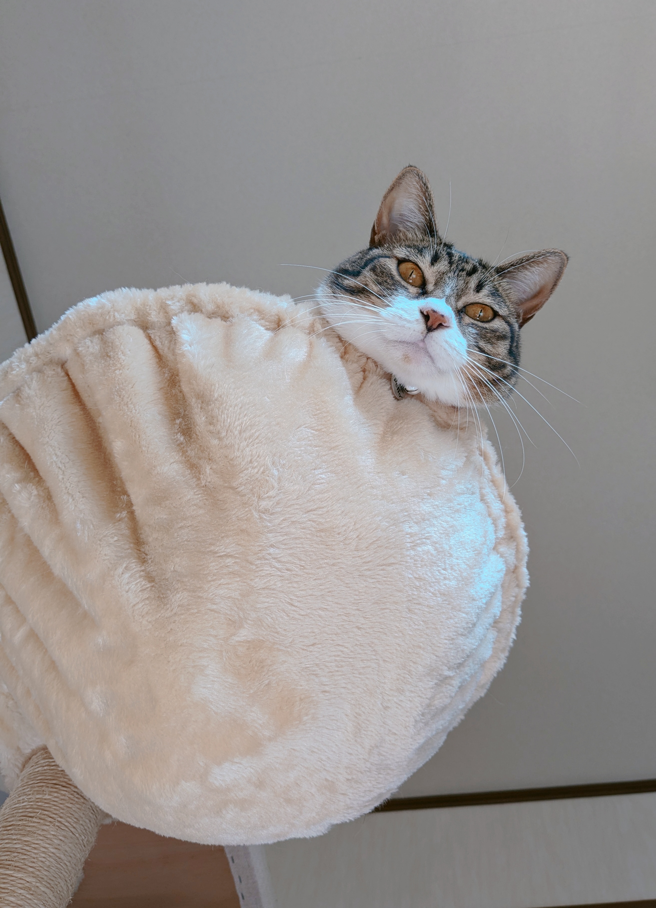 Chillin' Like a Snowman