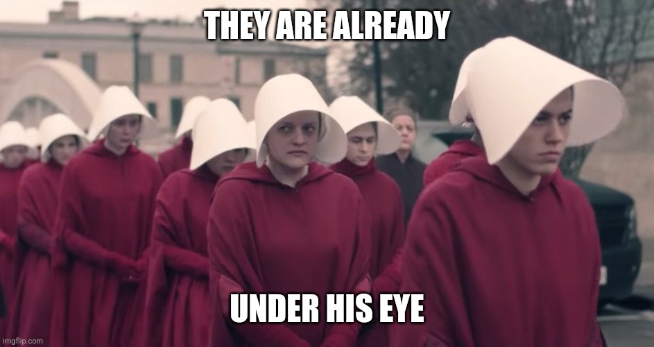 A Passionate Rant on The Handmaid's Tale