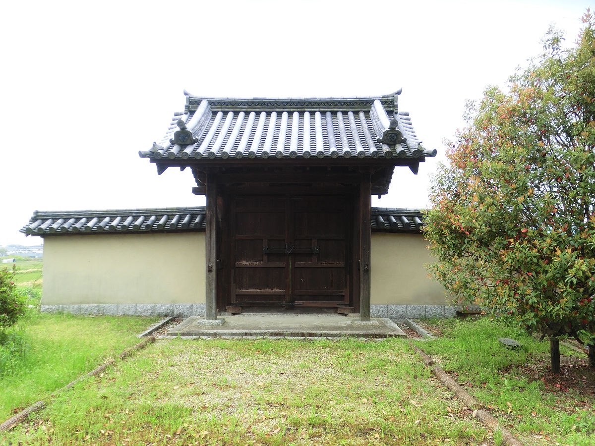 A snapshot from April 2015 in Nara: memories captured in time