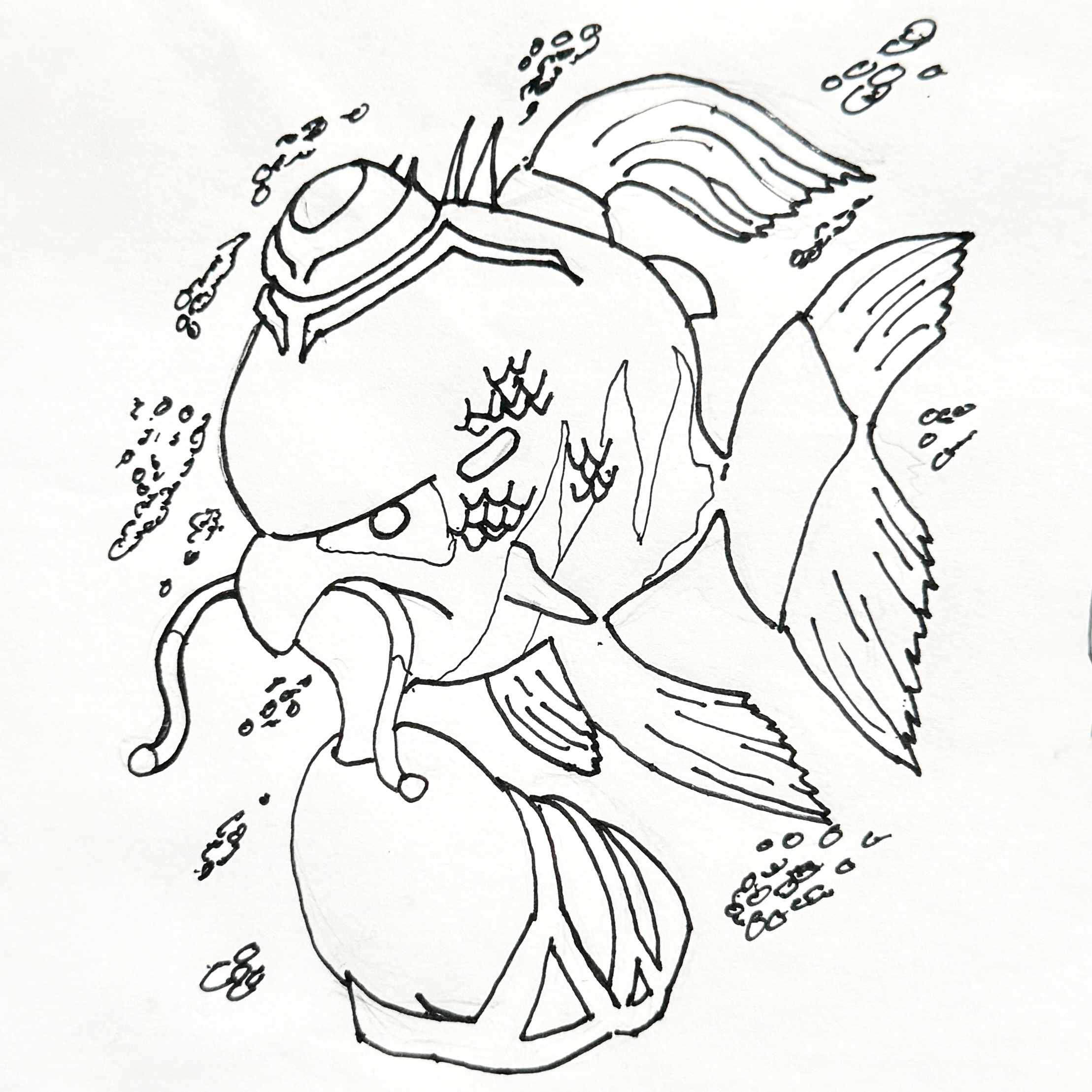 Exploring the Wonders of Fibonacci