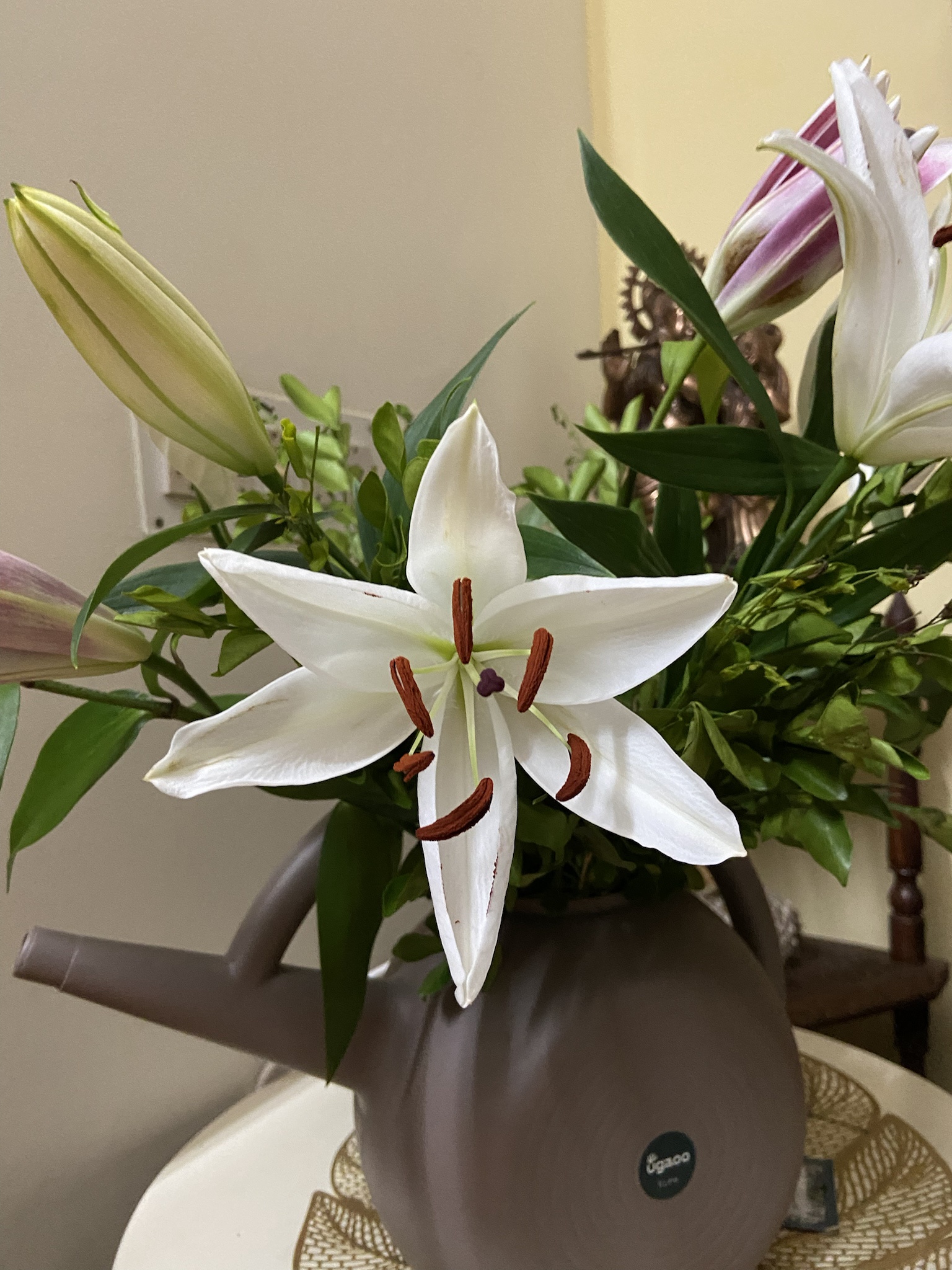 The Elegant Beauty of a Lily