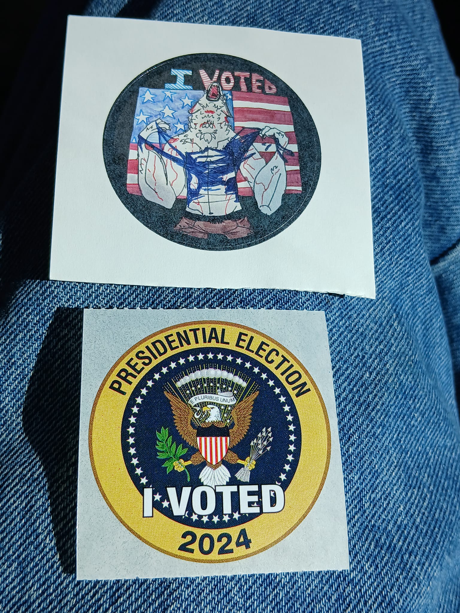 I Cast My Vote Early! Can We Please Stop the Calls, Junk Mail, and Constant Notifications?