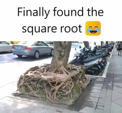 Understanding Square Roots: The Basics!