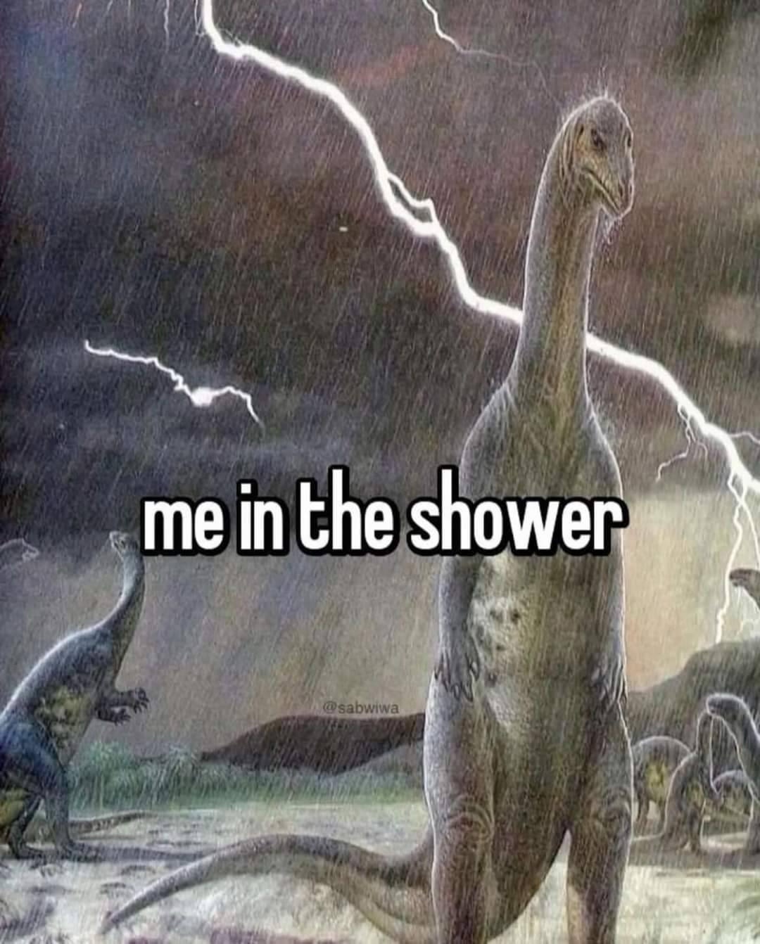 A Hilarious Collection of Memes Vol 388