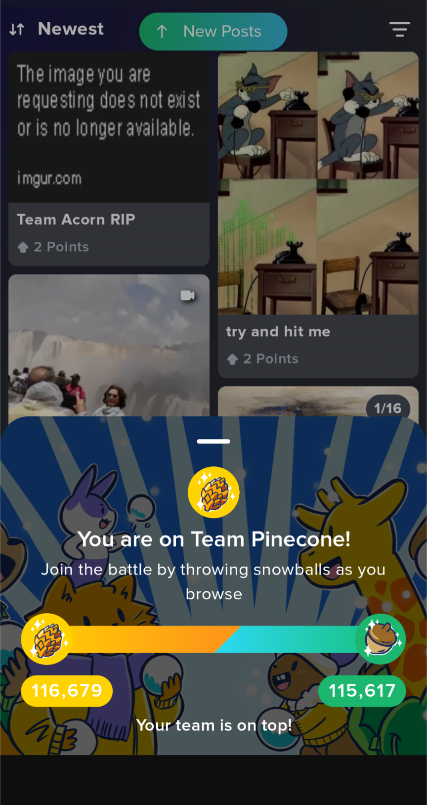 Let's Rally, Team Pinecone! We've Got This!